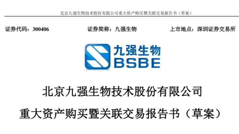 CDMO代工流程解析：关键环节与注意事项