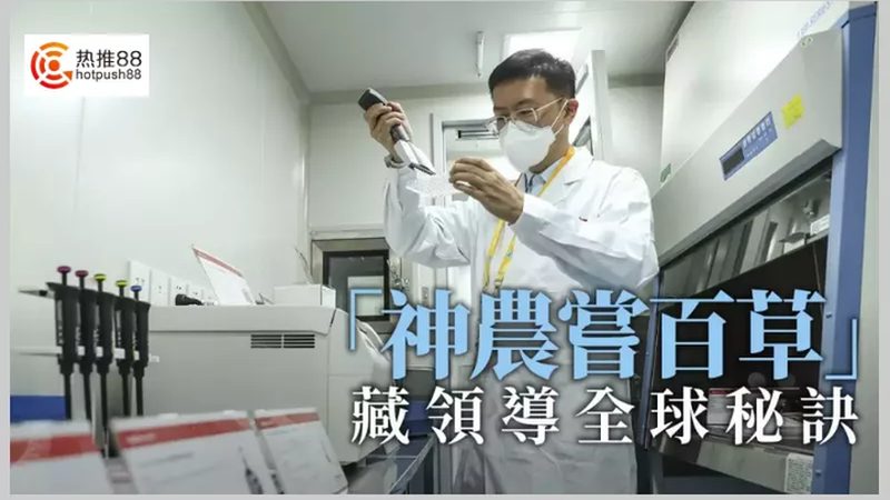 抗体药物研发外包：上海企业的创新之路**
