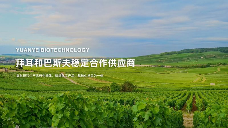细胞培养基保存液配方：揭秘其核心要素与保存技巧**