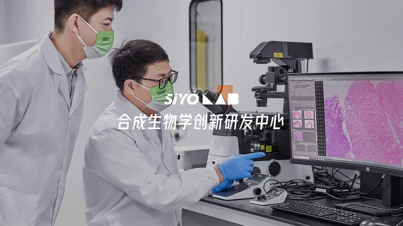 生物药CDMO原液生产：揭秘其背后的技术奥秘**