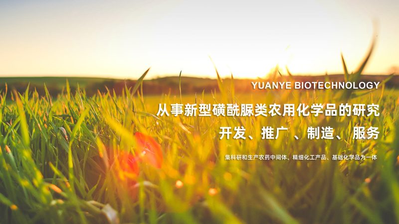 生物医药制剂代工：价格背后的考量因素**