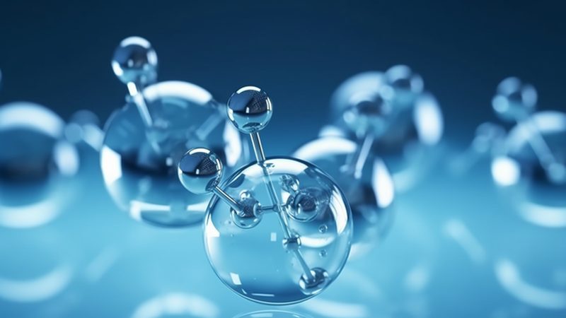 重组抗体：揭秘上海生产服务的关键要素**