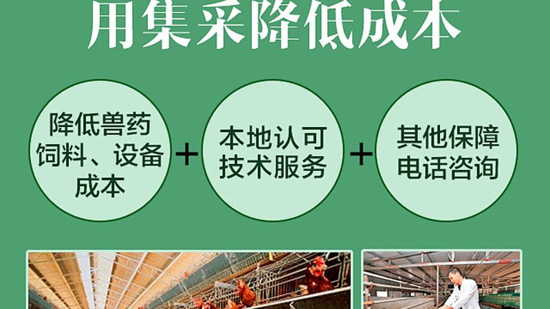 无血清培养基：价格之外，你还需要了解这些**