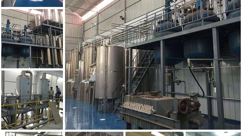 CDMO中试放大生产报价，揭秘背后的考量因素
