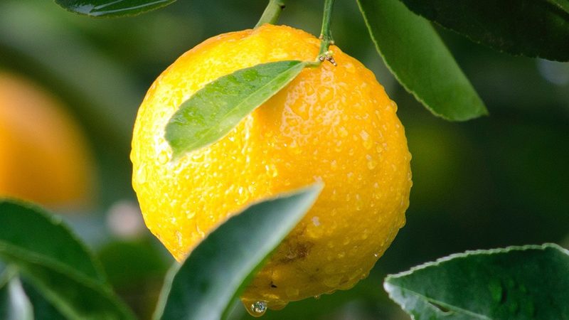 生物科技试剂代理加盟，如何规避潜在风险？**