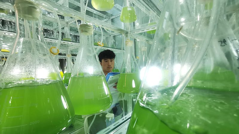 肿瘤基因测序：揭秘精准医疗的关键技术参数**